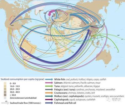 2018年中國海鮮進口激增44%,中國市場前景引全球矚目