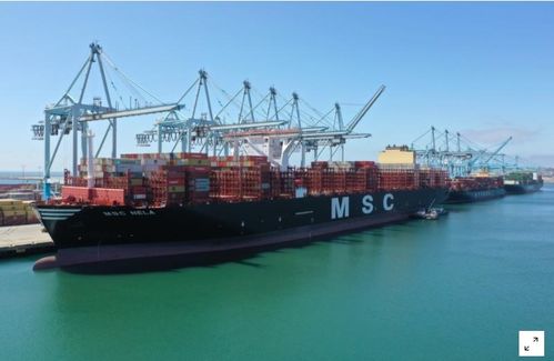 美國9月商品貿(mào)易逆差大幅縮窄，第三季創(chuàng)紀錄增長預(yù)期提振貿(mào)易前景