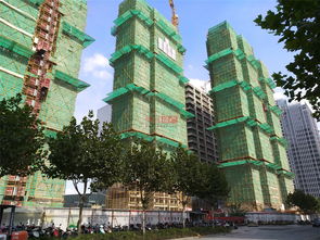 晶耀名邸 上海晶耀名邸配套實(shí)景圖,樣板間,效果圖,戶(hù)型圖 上海網(wǎng)易房產(chǎn)